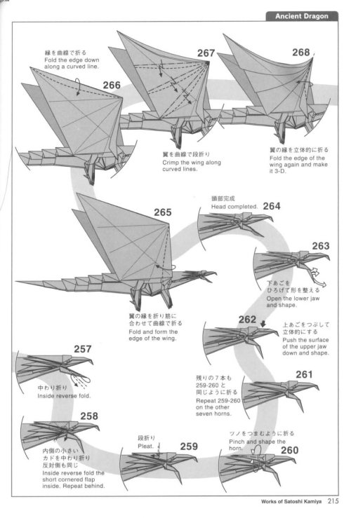 古代龙 第24步