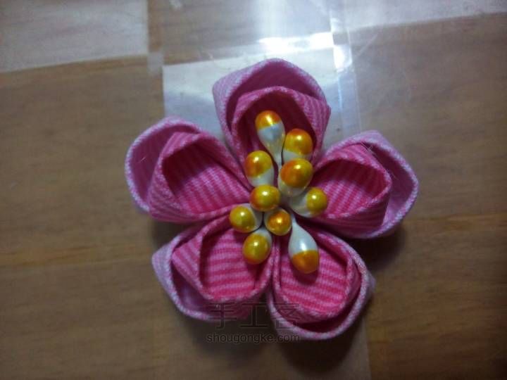 最美樱花雨 第5步