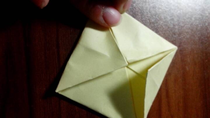 折纸 荷花 第4步