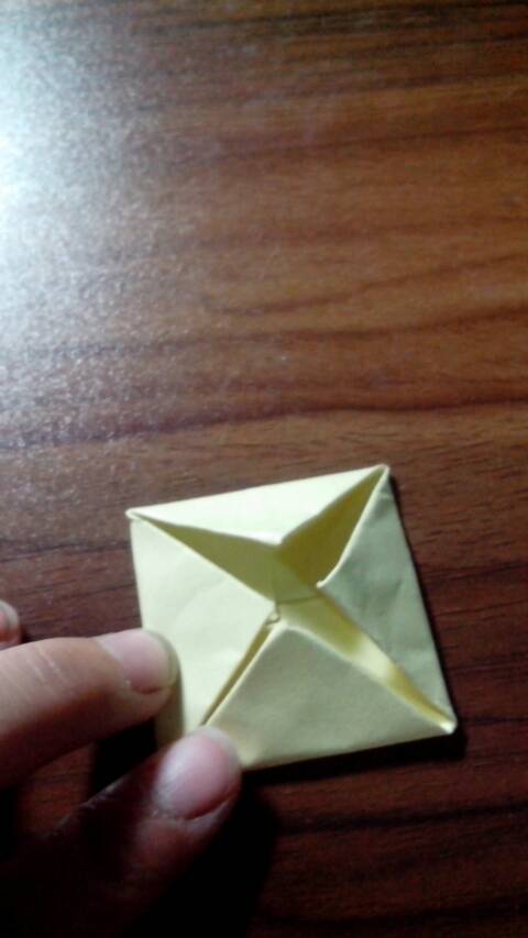 折纸 荷花 第5步