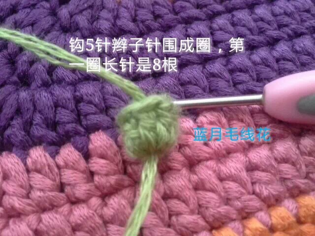 百合花苞 第1步