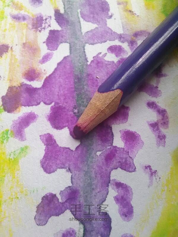 紫藤花的画法 第3步