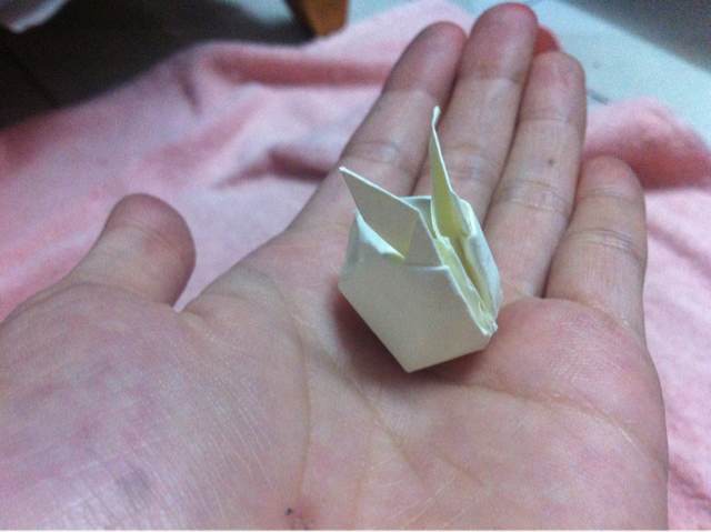 「折纸」萌萌的兔子 第16步