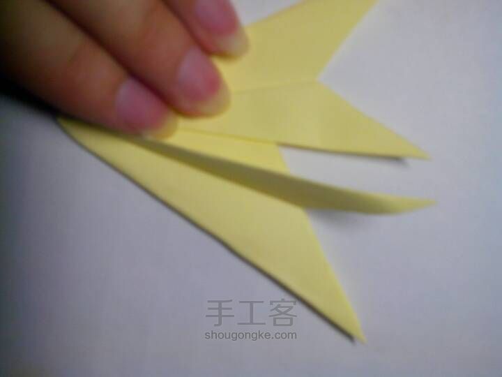 折纸六瓣百合~ 第10步