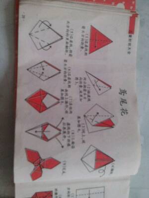 折纸大全 第8步