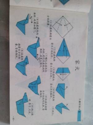 折纸大全 第14步