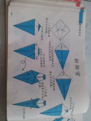 折纸大全 第15步