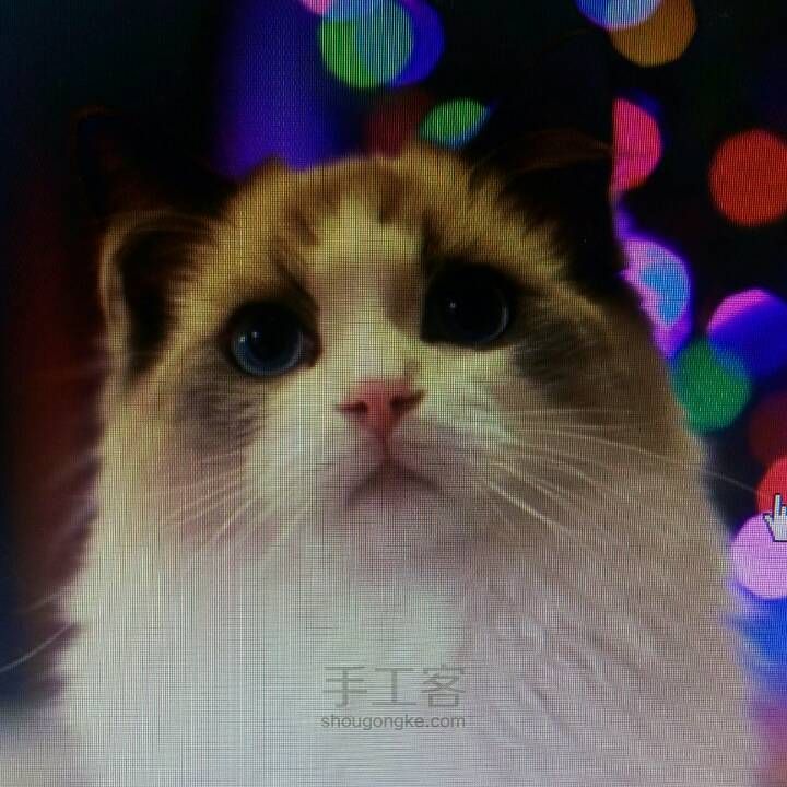【破寒】一只猫的诞生 第3步