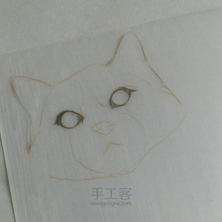 【破寒】一只猫的诞生 第6步