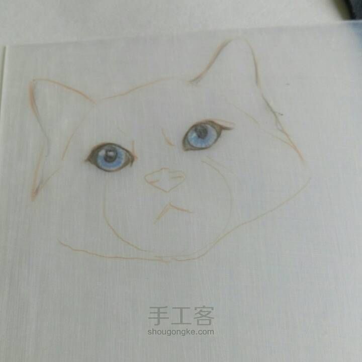 【破寒】一只猫的诞生 第7步