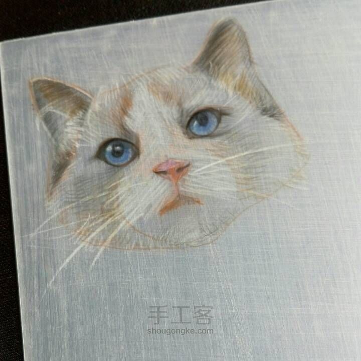 【破寒】一只猫的诞生 第10步