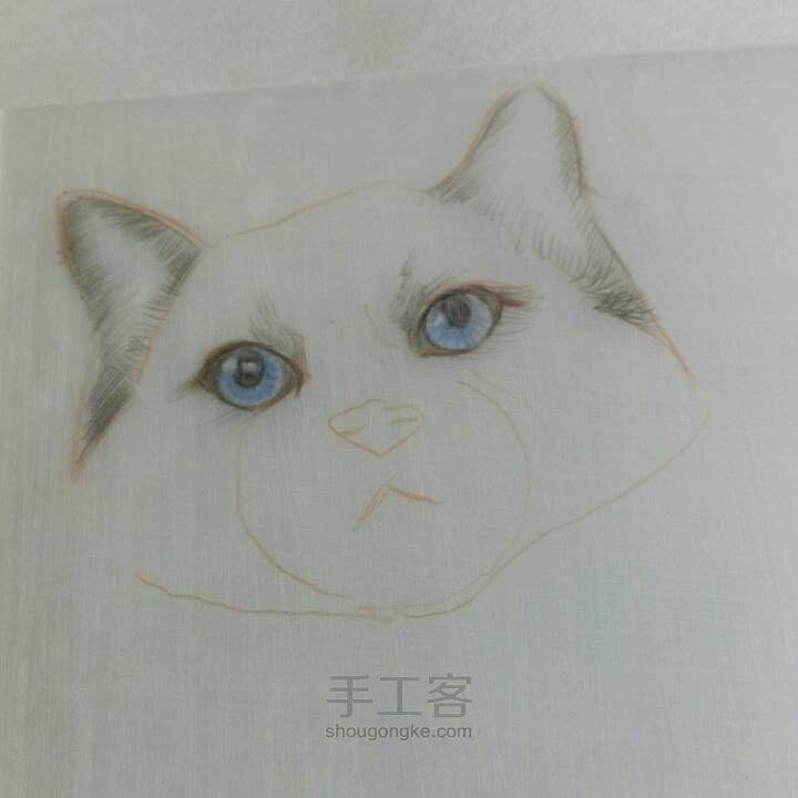 【破寒】一只猫的诞生 第8步