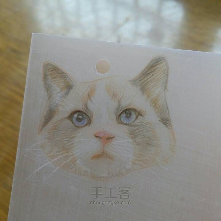 【破寒】一只猫的诞生 第11步