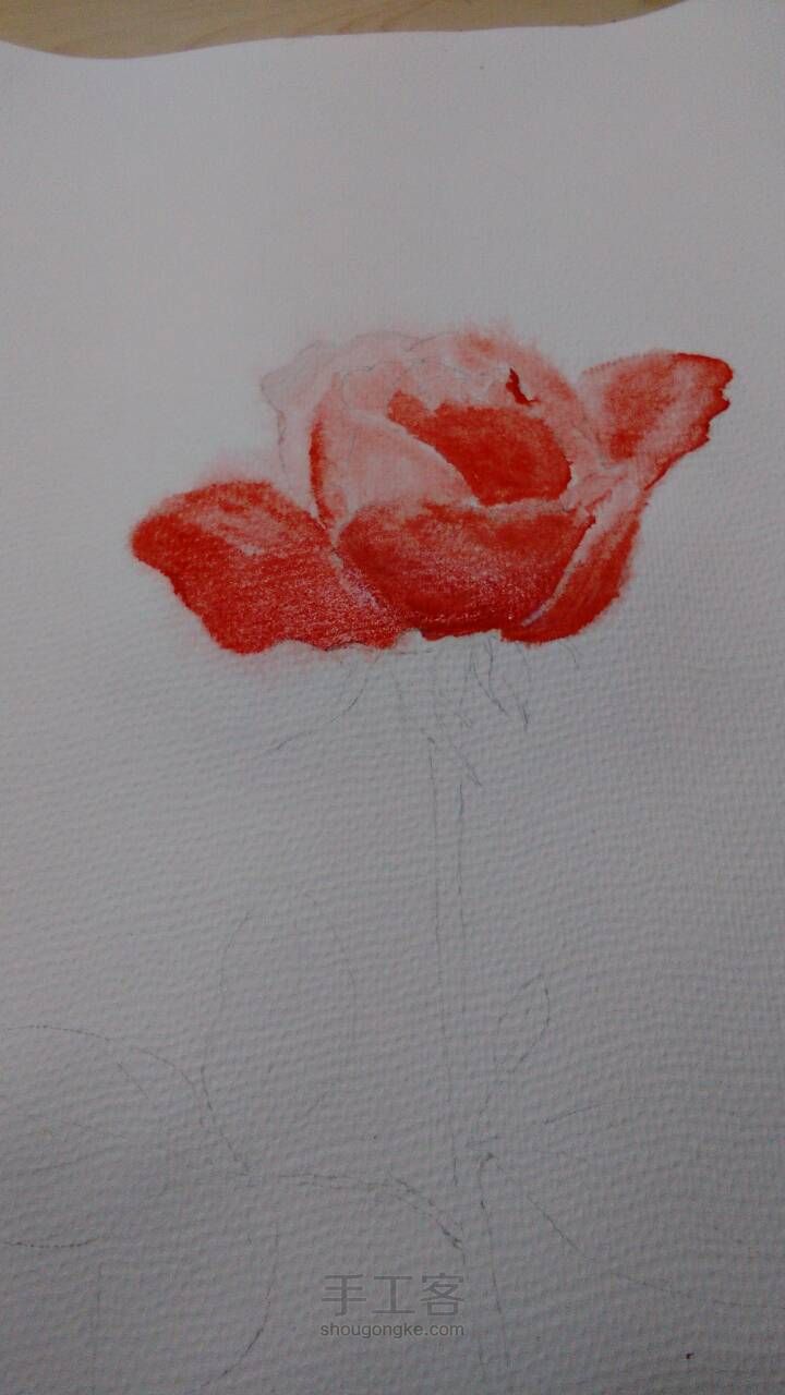 手绘水彩玫瑰，厚涂 第2步