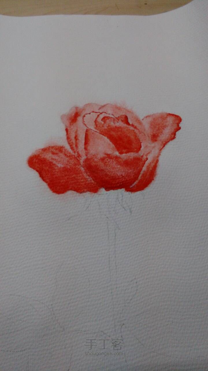 手绘水彩玫瑰，厚涂 第3步