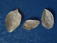 对手工银饰也蛮感兴趣的，这是纯银粘土做的叶子，每片都是独一无二的。