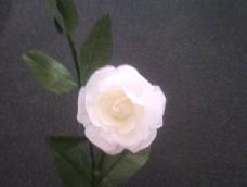 家里的栀子花在今年春天的时候不知道是不是因为广东这边的天气原因枯萎了，妈妈一直觉得很可惜，所以这次做了这个花。不过这花不能送给妈妈，只能摆着自己看看。（白色的花不适合送给妈妈。-_-）