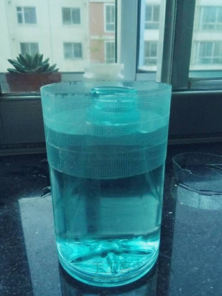 简素水栽塑料花瓶 第12步
