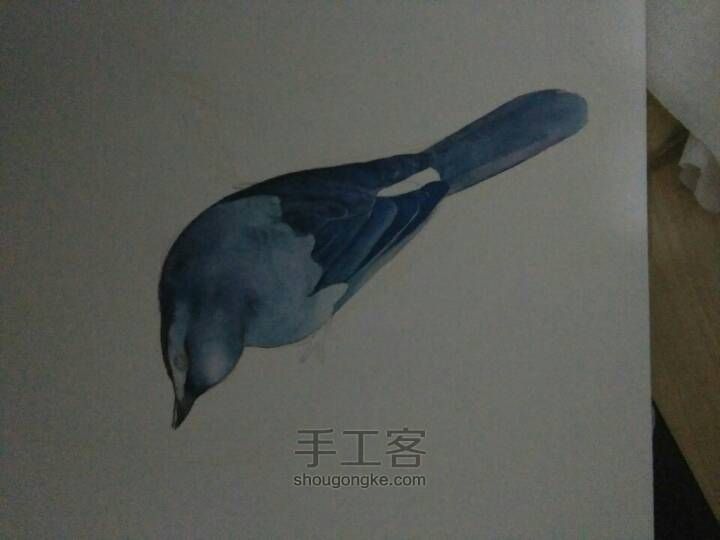 鸟的手绘水彩 第2步