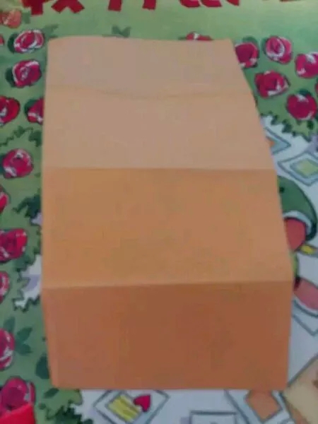 简易折纸 收纳盒君😏 第21步