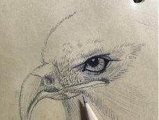自己画的一个老鹰头，在老鹰的眼睛上画了个眼线，感觉萌萌哒……