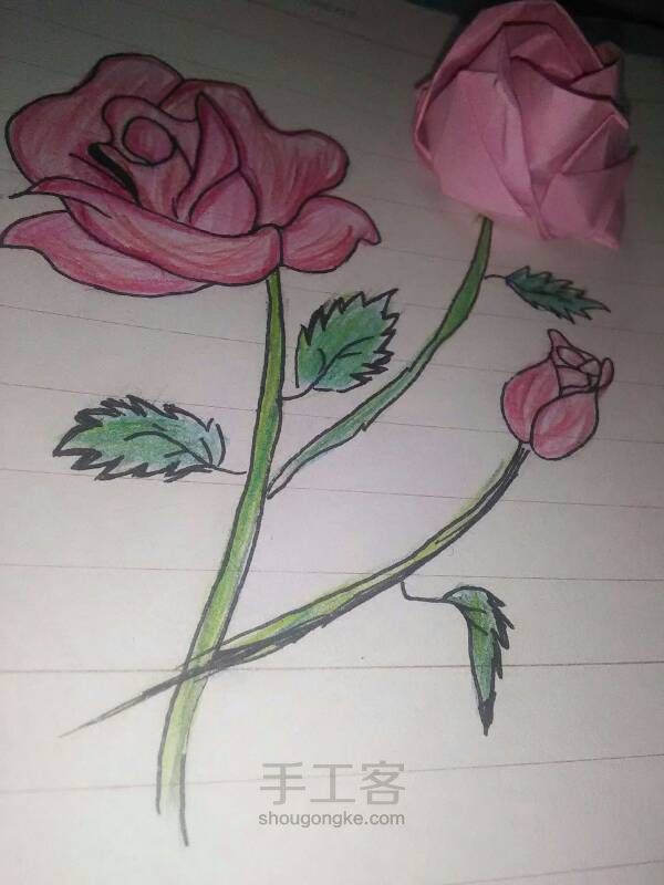 简单玫瑰花的画法（转） 第12步