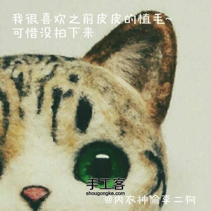 猫猫胸针教程 ฅ( ̳• ◡ • ̳)ฅ 第27步