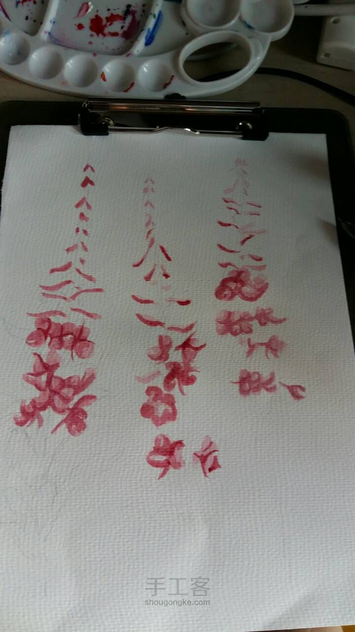 串红花-水彩教程 第1步