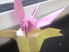 我家纸鹤君超爱的纸葫芦