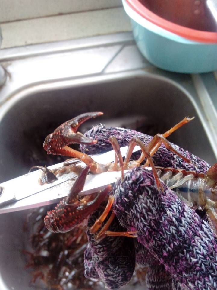 爱吃小龙虾的朋友想吃自己做的干净卫生的小龙虾来看看吧！ 第3步