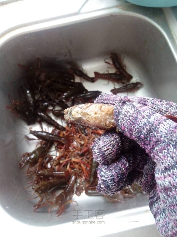 爱吃小龙虾的朋友想吃自己做的干净卫生的小龙虾来看看吧！ 第5步