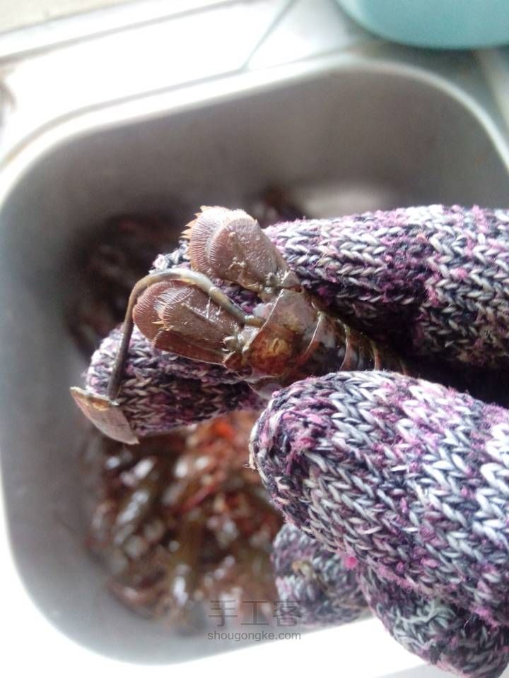 爱吃小龙虾的朋友想吃自己做的干净卫生的小龙虾来看看吧！ 第7步