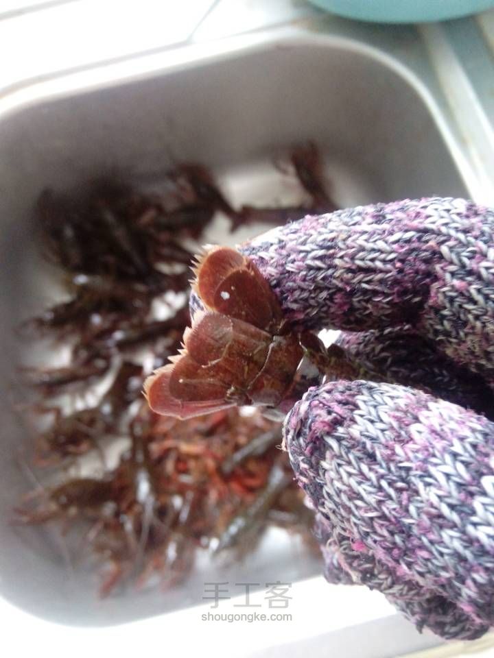 爱吃小龙虾的朋友想吃自己做的干净卫生的小龙虾来看看吧！ 第6步