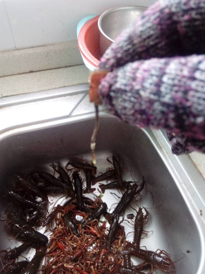 爱吃小龙虾的朋友想吃自己做的干净卫生的小龙虾来看看吧！ 第8步