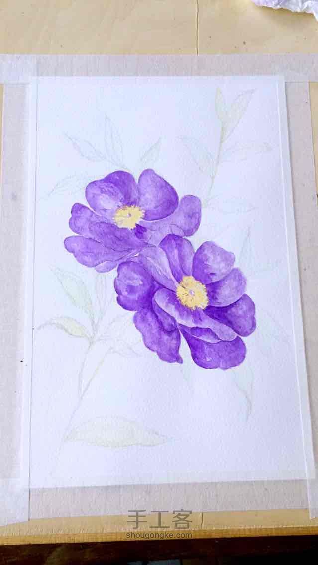 水彩花朵的画法 第3步