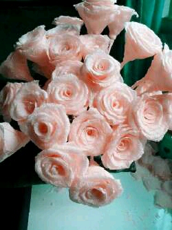 粉色玫瑰花是最好的回忆 第1步