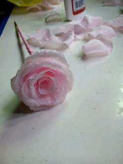 粉色玫瑰花是最好的回忆 第21步