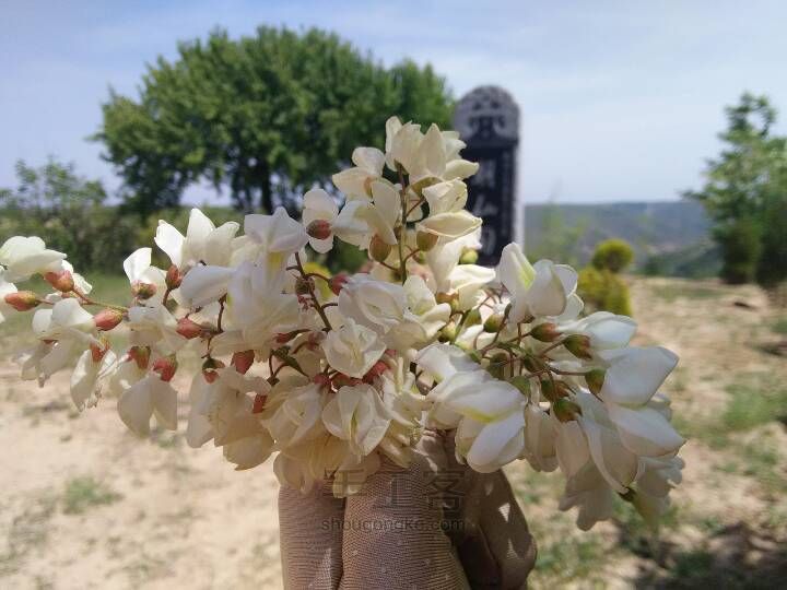 香甜槐花饭 第2步