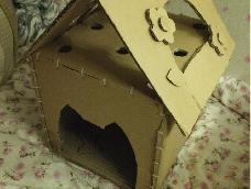 因为宿舍的猫很喜欢纸箱所以就想要用纸箱来做一个猫的玩的屋子！