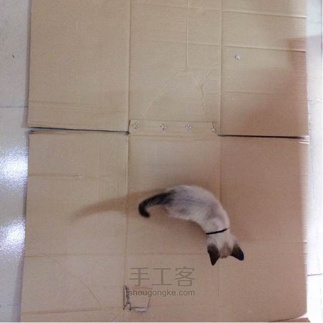 自制猫咪玩具屋 第2步