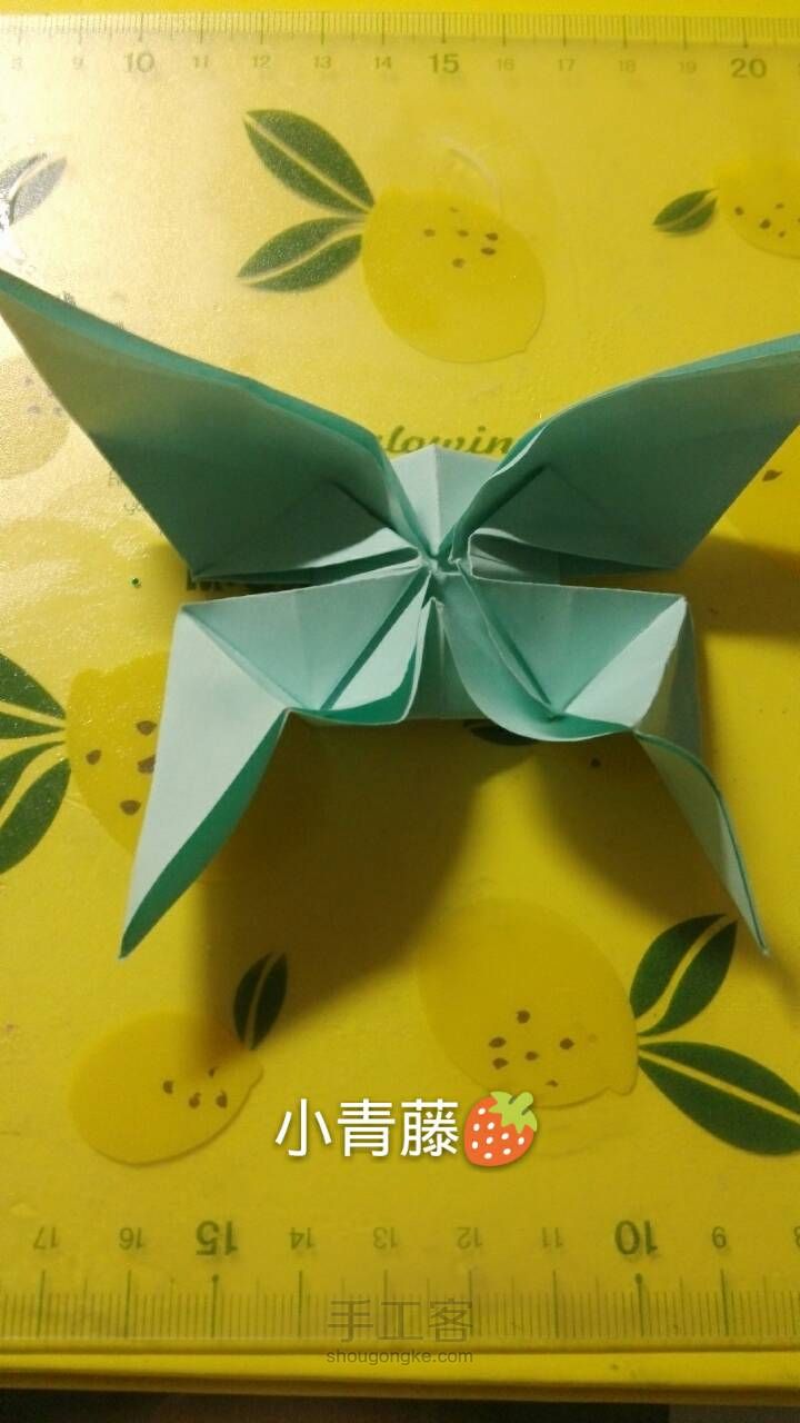 【小青藤🍓】美腻的凤尾蝶～ 第13步