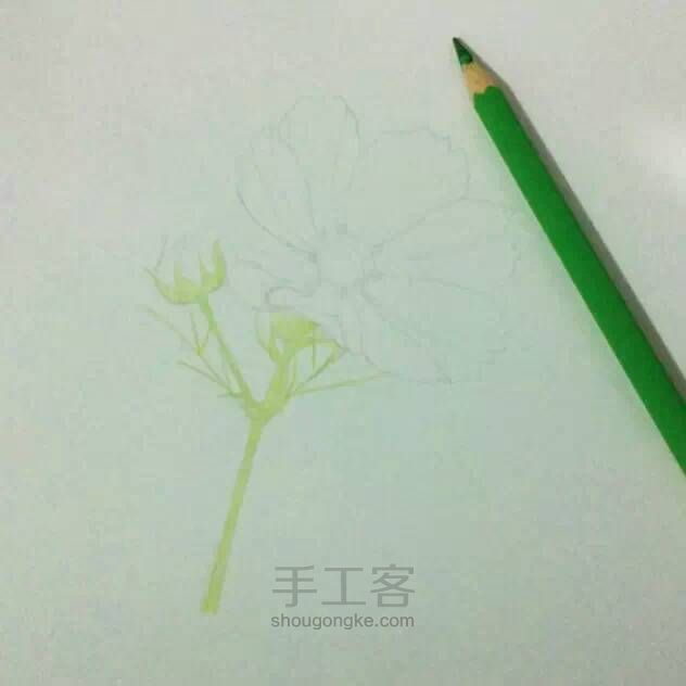 教程：用心画一朵花【转】 第4步