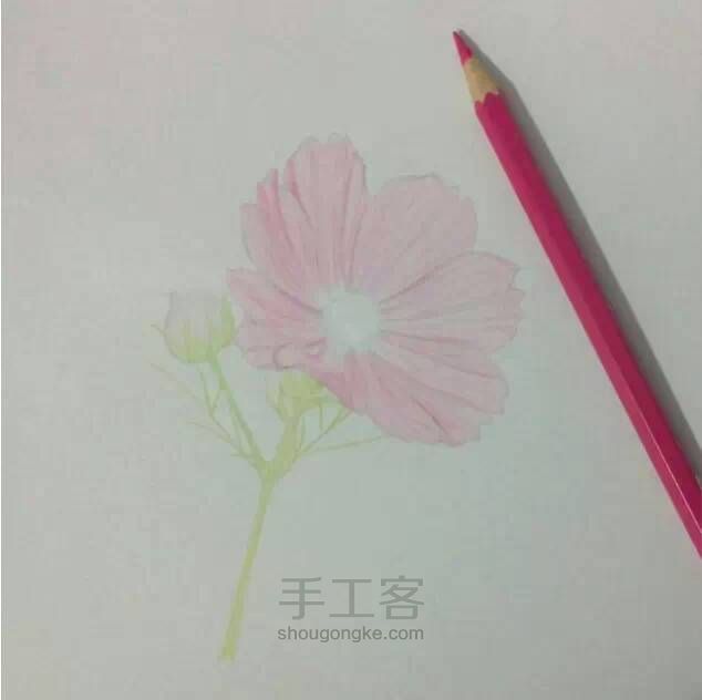 教程：用心画一朵花【转】 第5步