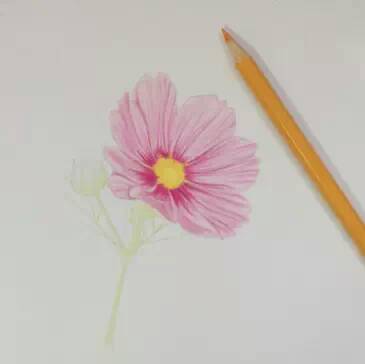 教程：用心画一朵花【转】 第10步
