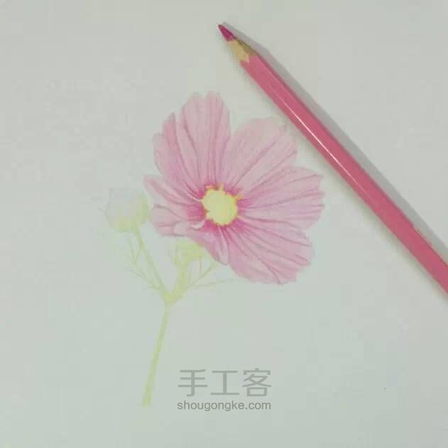 教程：用心画一朵花【转】 第8步