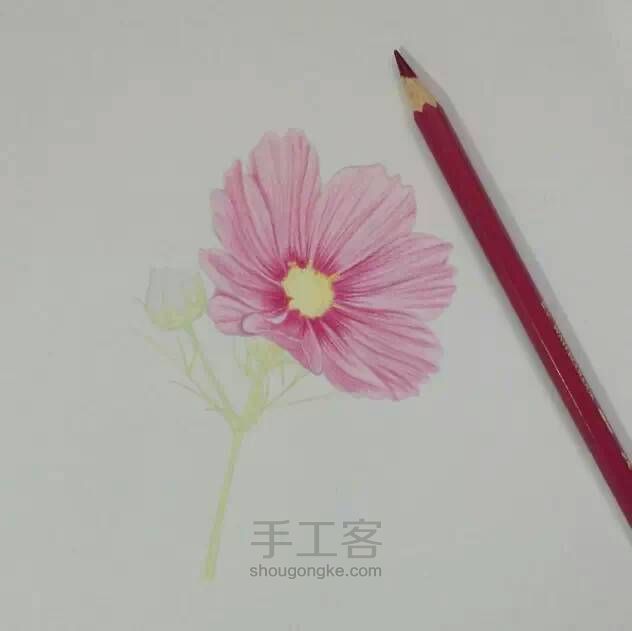 教程：用心画一朵花【转】 第9步