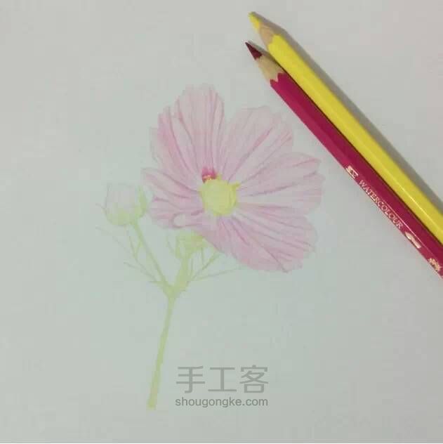 教程：用心画一朵花【转】 第7步