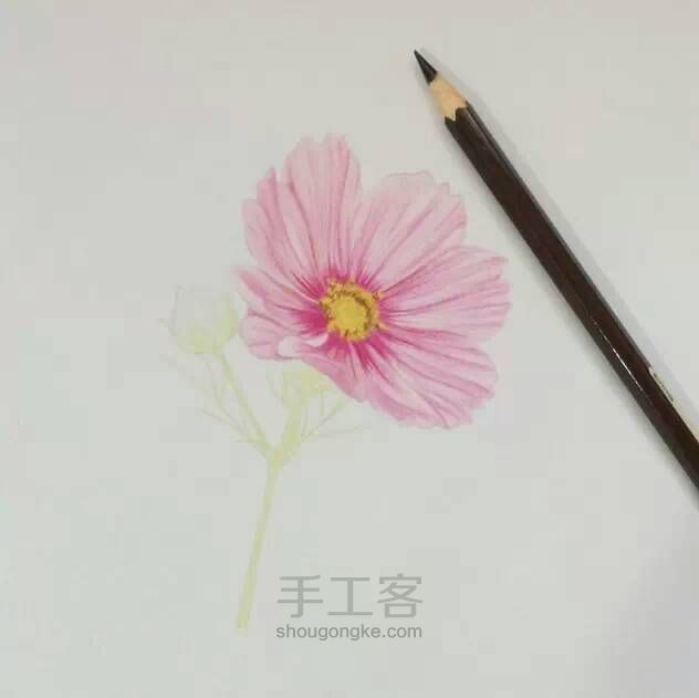 教程：用心画一朵花【转】 第11步