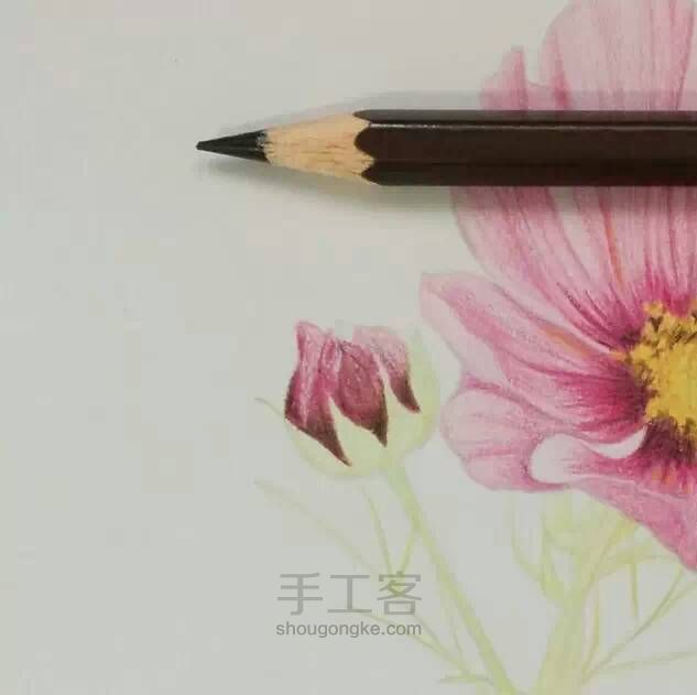 教程：用心画一朵花【转】 第15步