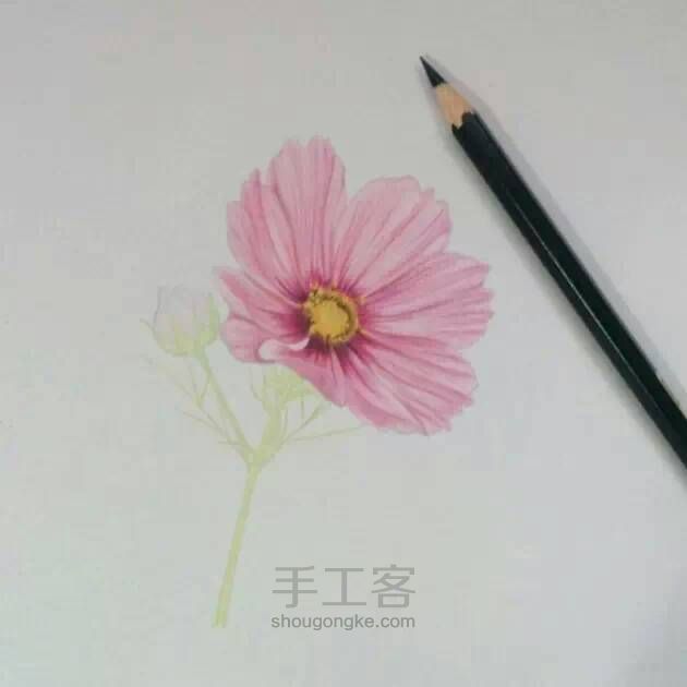 教程：用心画一朵花【转】 第12步